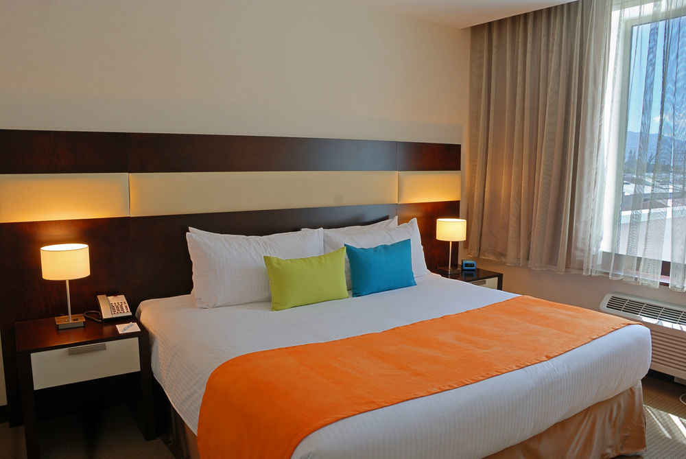 D Sabana Hotel San Jose  Eksteriør bilde A room at the hotel